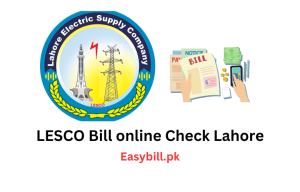 LESCO Bill online Check Lahore