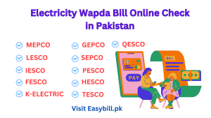 Electricity Wapda Bill Online Check in Pakistan