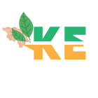 KE duplicate Bill download, K-electric online bill check